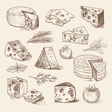 Hand Drawn Pieces Of Cheese, Tomatoes, Greens. Vector Sketch, Organic Food Illustration