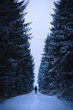 Silhouette of a person in walking through the winter forest in the snow. Hiking person in white fairytale winter forest.