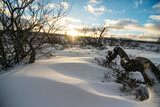 Fototapeta Do pokoju - winter landscape, sweden