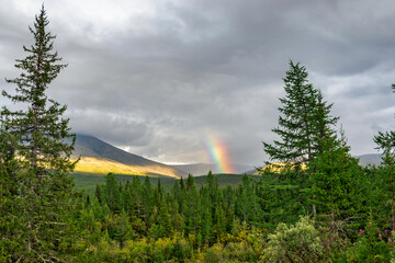 rainbow over mountains and forest on a cloudy summer day