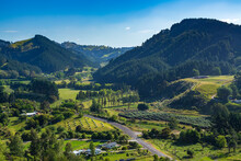 Rural Hill Country In The Bay Of Plenty, New Zealand, With Pine Trees Growing On Two Small Mountains