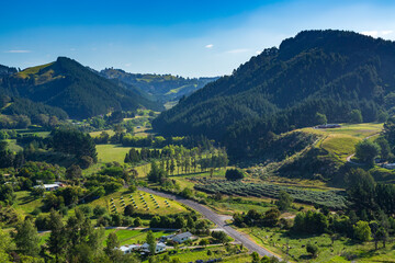 Rural hill country in the Bay of Plenty, New Zealand, with pine trees growing on two small mountains