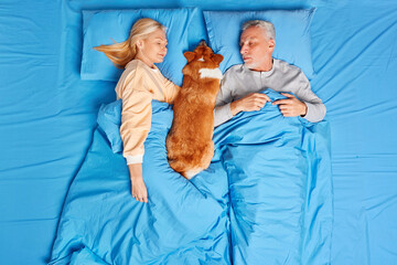 Senior married couple have deep sleep in bed with dog lying between them. Mature woman and man enjoys rest in cozy home under blue blanket. Great time at peaceful domestic atmosphere. Early morning