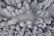 Luftbild eines schneebedeckten Nadelwalds in Draufsicht mit Forstweg oder Pfad