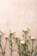 Wall Mural - Overhead view of pink flowers on light surface