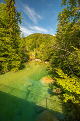 Wall Mural - Breathtaking view over colorful Radovna river in Vintgar Gorge, Slovenia.