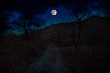Wall Mural - Mountain Road through the forest on a full moon night. Scenic night landscape of dark blue sky with moon. Azerbaijan
