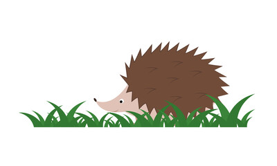 Hedgehog in the grass isolated on white background. Cartoon character, animal collection. Flat design. Vector illustration