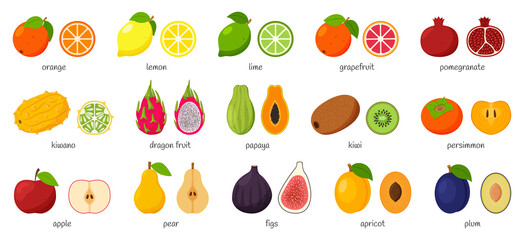 Wall Mural - Large collection of tropical, exotic, citrus fruits with names. Set of cutaway fruits. Pairs of fruit, whole and cut in half. Flat vector illustration. Design elements isolated on a white background