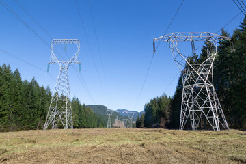 An upward frontal view with rows of two different types of transmission towers in an open field flanked by tall pine trees, und a clear blue sky