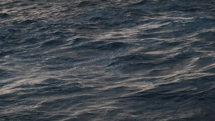 Wall Mural - water sea surface