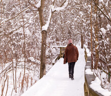 A Man Walking On A Snow Covered Wooden Bridge In Winter Time In Frick Park Located In Pittsburgh, Pennsylvania, USA