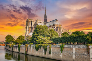 Fototapete - Notre Dame de Paris at spring, France