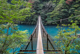 Fototapeta Mosty linowy / wiszący - 夢の吊橋