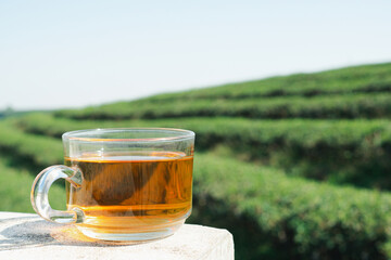 A cup of hot tea on cement with the tea plantation background. Space for text. Close-up photo