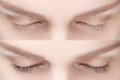 Woman eyelash tinting before and after. Henna tint, lamiation, keratin