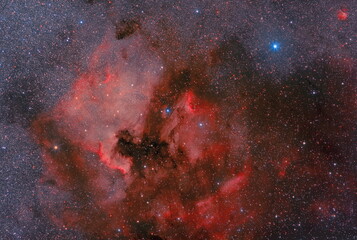 Wall Mural - deep space. astrophotography of real space through a telescope. clouds of cosmic hydrogen. ngc 7000.
