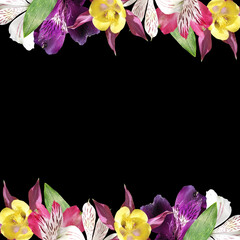 Fotomurales - Beautiful floral frame of aquilegia and alstroemeria. Isolated