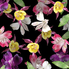 Fotomurales - Beautiful floral background of aquilegia and alstroemeria. Isolated