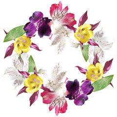 Fotomurales - Beautiful floral circle of aquilegia and alstroemeria. Isolated