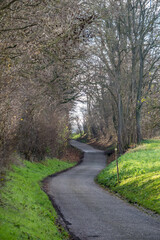 Wall Mural - Feldweg