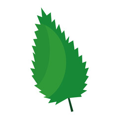 Sticker - sawn leaf plant flat style icon vector illustration design