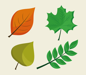 Sticker - bundle of four leafs plants flat style icons vector illustration design