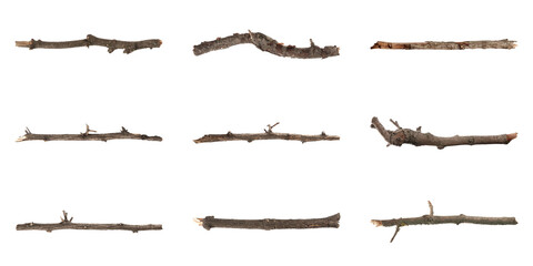 set of old dry tree branches on white background. banner design