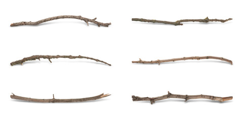 set of old dry tree branches on white background. banner design