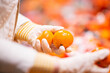 © Anke Scheibe Fotografie/Westend61 - Hands with protectice gloves holding tangerines, close-up