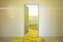 Opened Door Into The New Workld, Entrance To Another Life Creative Idea