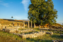 Albania, Gjirokaster County, Ruins Of Ancient Greek City Of Antigonia At Dusk