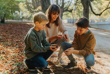 Mother And Sons Collecting Chestnuts In Public Park