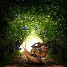Fantasy World. Magic Snail With Its Shell House Moving In Beautiful Forest