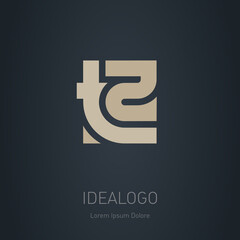 Wall Mural - T2 - logotype, design element or icon. Vector monogram. T and 2 logo.