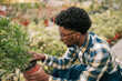 © Lupe Rodriguez/Westend61 - Young male worker examining potted plants in greenhouse
