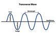 Transverse wave with properties of structure and form showing crest, trough, wavelength, amplitude, and equilibrium.