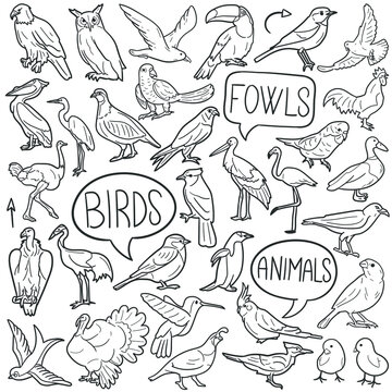 Bird Animals doodle icon set. Fly Vector illustration collection. Banner Hand drawn Line art style.