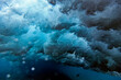 © Konstantin Trubavin/Westend61 - Underwater view of splashing sea wave