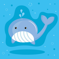 Poster - cute little whale animal kawaii character in blue background vector illustration design