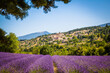 Scenic view of the ancient village of Aurel, Provence, France