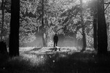 Fototapeta  - Drewniana  ławeczka i postać stojąca obok wśród drzew na jeziorem w pięknym oświetleniu