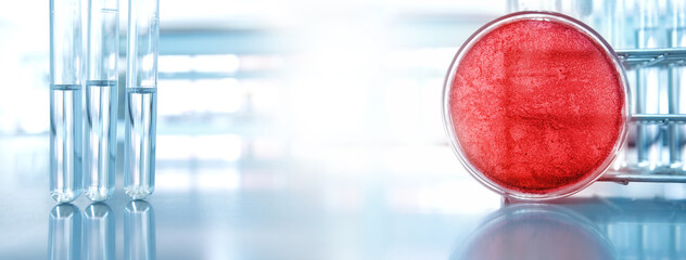Wall Mural - petri dish for microbiology lab research and glass test tube in blue medical science banner backgrou