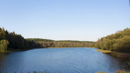 Wall Mural - Drone shot on the shore of the autumn lake. Lake at autumn, nature background.
