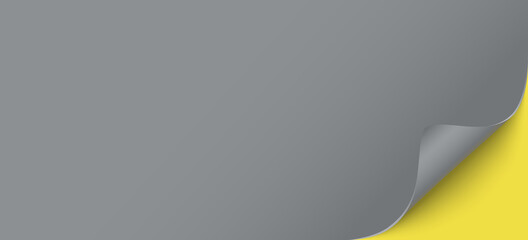 Wall Mural - Horizontal grey blank web banner template, background with space for your text or picture.