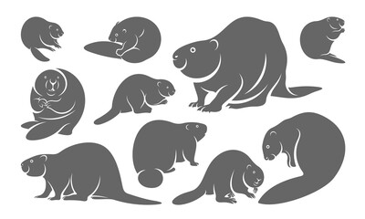 Set of Beaver logo vector, Creative Beaver logo design concepts template, icon symbol, illustration