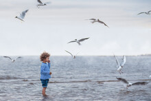 A Kid With Curly Hair In A Sailor's Striped Long Sleeve Shirt Feeds Gulls On The Sea. Cloudy Weather, Vintage Toning.