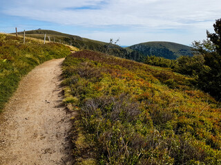 Hiking footpath in the Vosges mountains in FRance