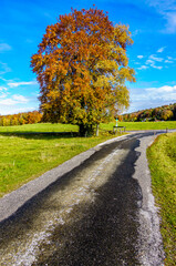 Poster - old country road at the european alps