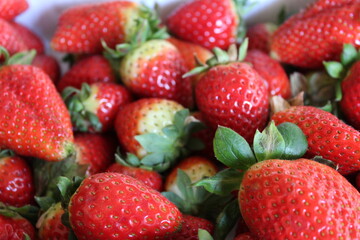 Strawberries Fruit Detail